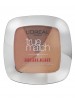 L'Oreal True Match Powder Glow Illuminator - 102D/102W Golden Glow