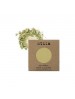 Stila Eye Shadow Pan Refill - Kalo